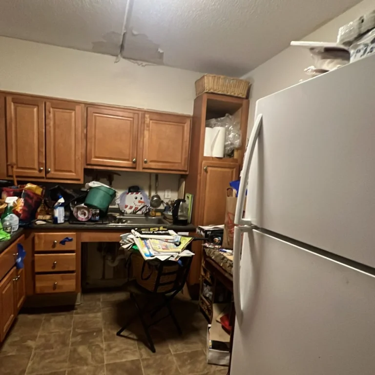 Kitchen with cluttered counters and an old refrigerator before a cleanout