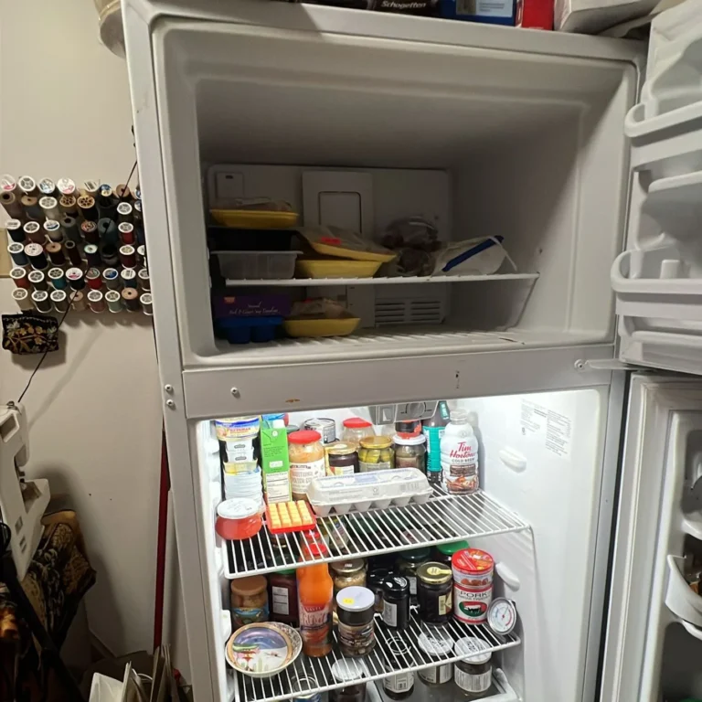 Refrigerator shelves full of jars and containers before a cleanout
